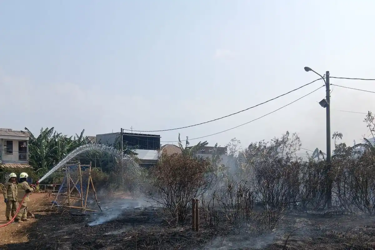 Kebakaran Lahan Mengancam Wilayah Jakarta Utara