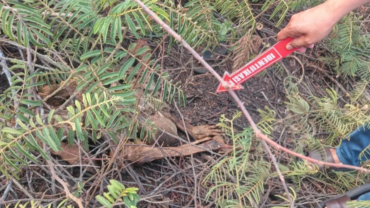 Pembongkaran Misteri Penemuan Kerangka Manusia di Tangerang
