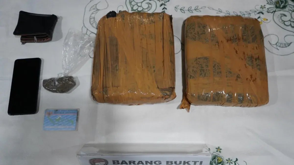 Penggagalan Peredaran Ganja di Jakarta Timur: Taktik Pengedar Kini Terbongkar