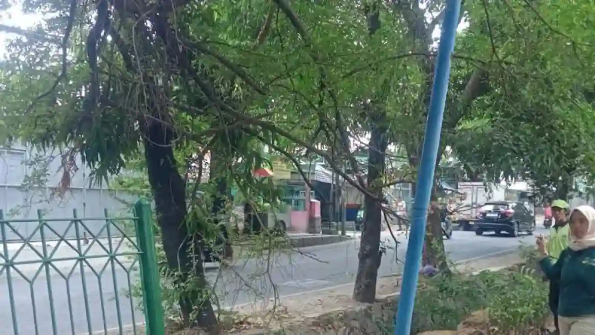 Pencurian Fasilitas di Taman Publik Pedongkelan: Imbas bagi Komunitas