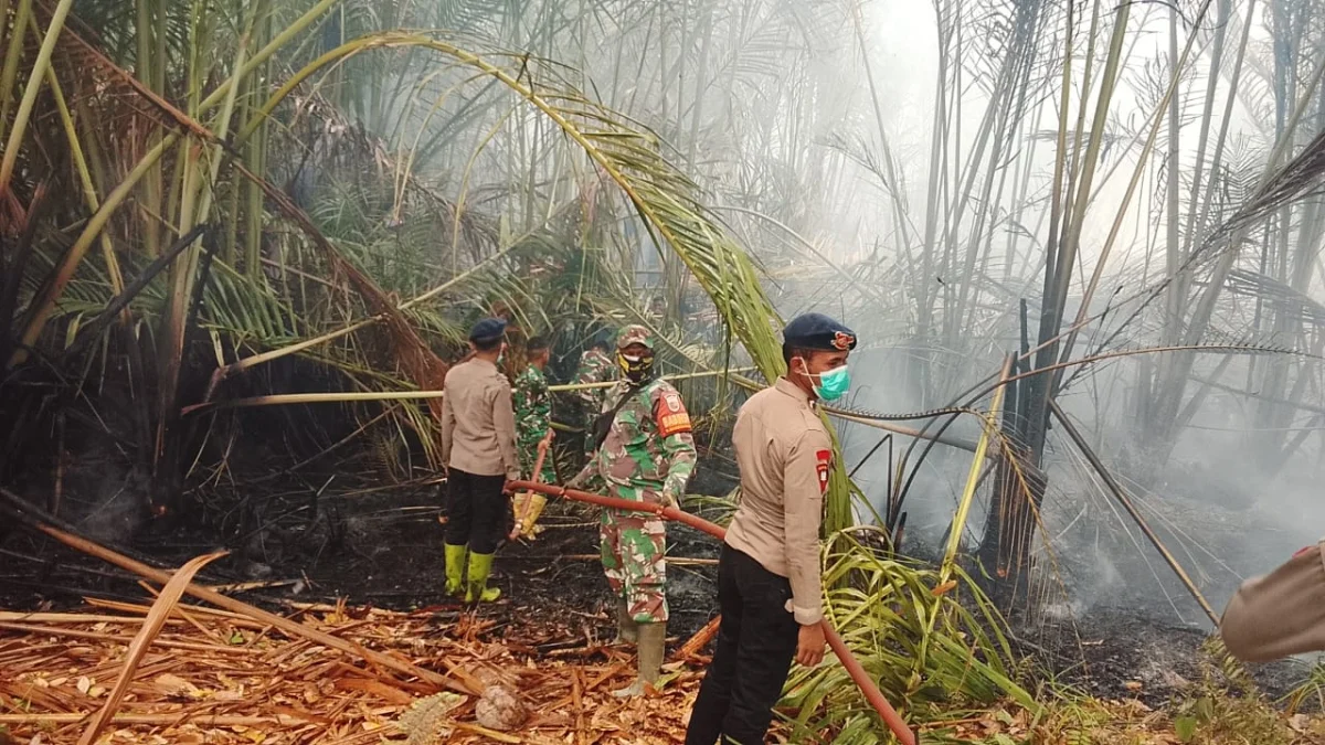 Sinergi TNI-Polri dan Warga Padamkan Kebakaran Lahan di Maba