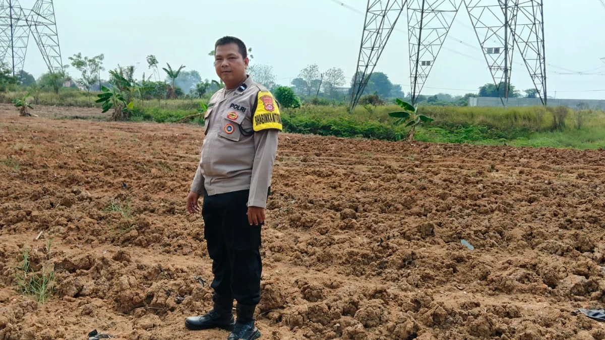 Dukung Program Ketahanan Pangan, IPTU Mahdi Cek Kesiapan Lahan Jagung di Desa Bojong