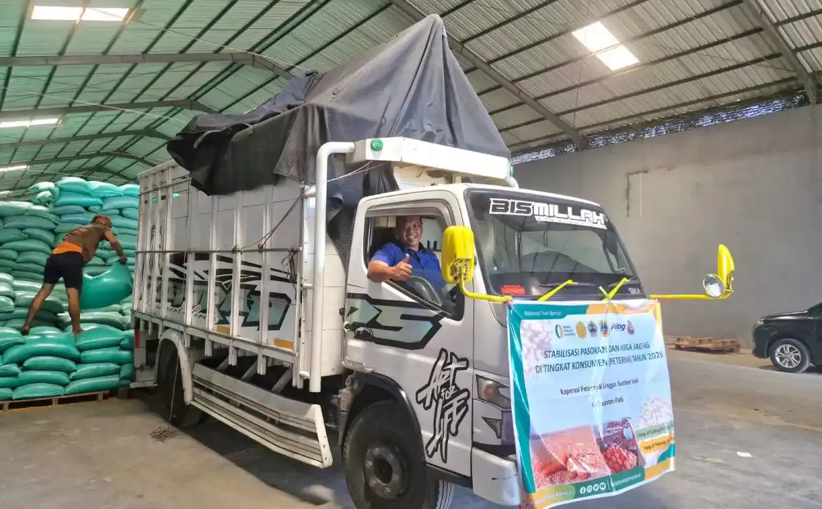 Penyaluran Jagung SPHP Bulog Jateng Capai 83,28 Persen untuk Peternak