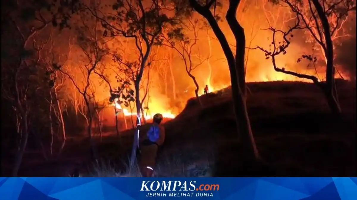Karhutla di Ponorogo Capai 341,85 Hektare Hingga Akhir September, Meluas di 56 Desa