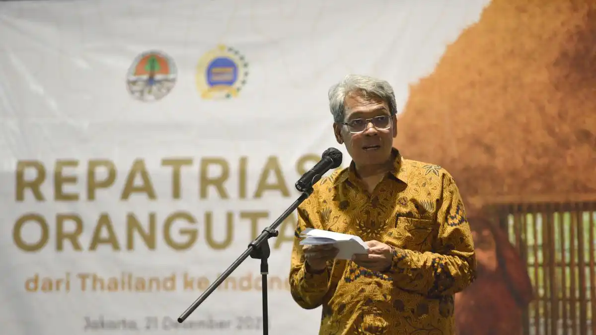 Satyawan Pudyatmoko Diproyeksikan Memimpin Badan Pengelolaan Gambut dan Mangrove Nasional
