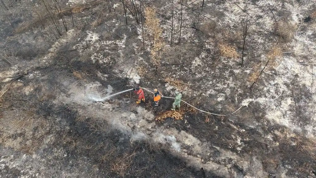 Hotspot Sumsel Menembus 1.917 Titik, Lahan Gambut OKI Paling Terdampak