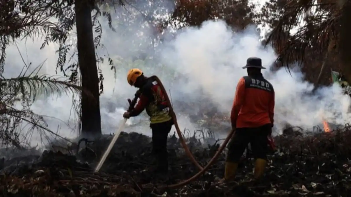 Pemadaman Karhutla Tanjung Puting Diperkuat, Kabut Asap Hambat Operasi Udara