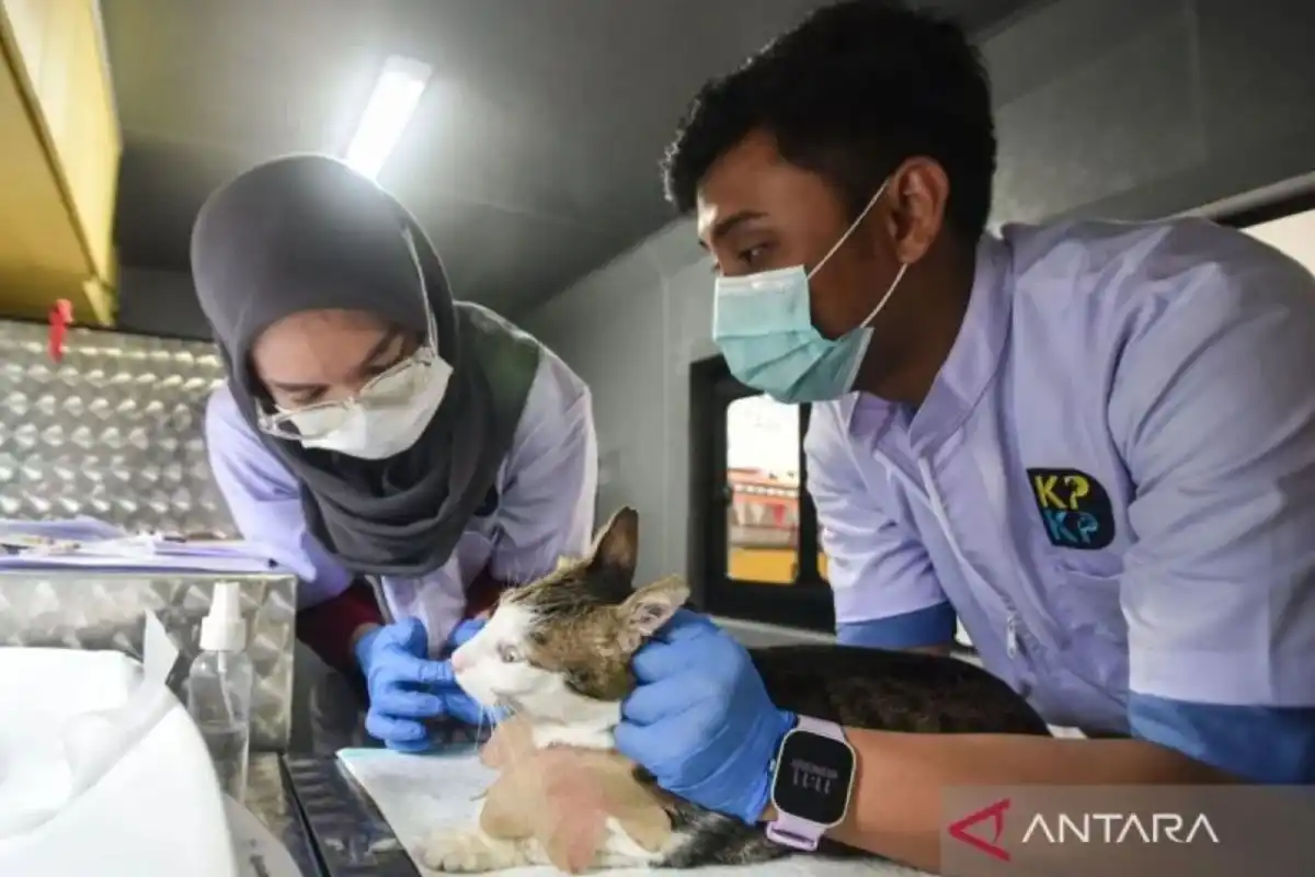 Jangkauan Layanan Mobil Klinik Hewan di Jakarta Timur hingga 11 Oktober 2026