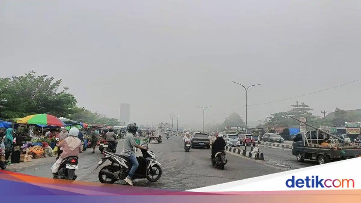 Lonjakan Titik Panas Sumatera Picu Kabut Asap dan Gangguan Penerbangan di Riau