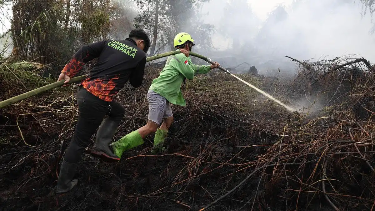 Sebanyak 639,23 Hektare Karhutla Masih Terbakar, Kalimantan Tengah Terluas