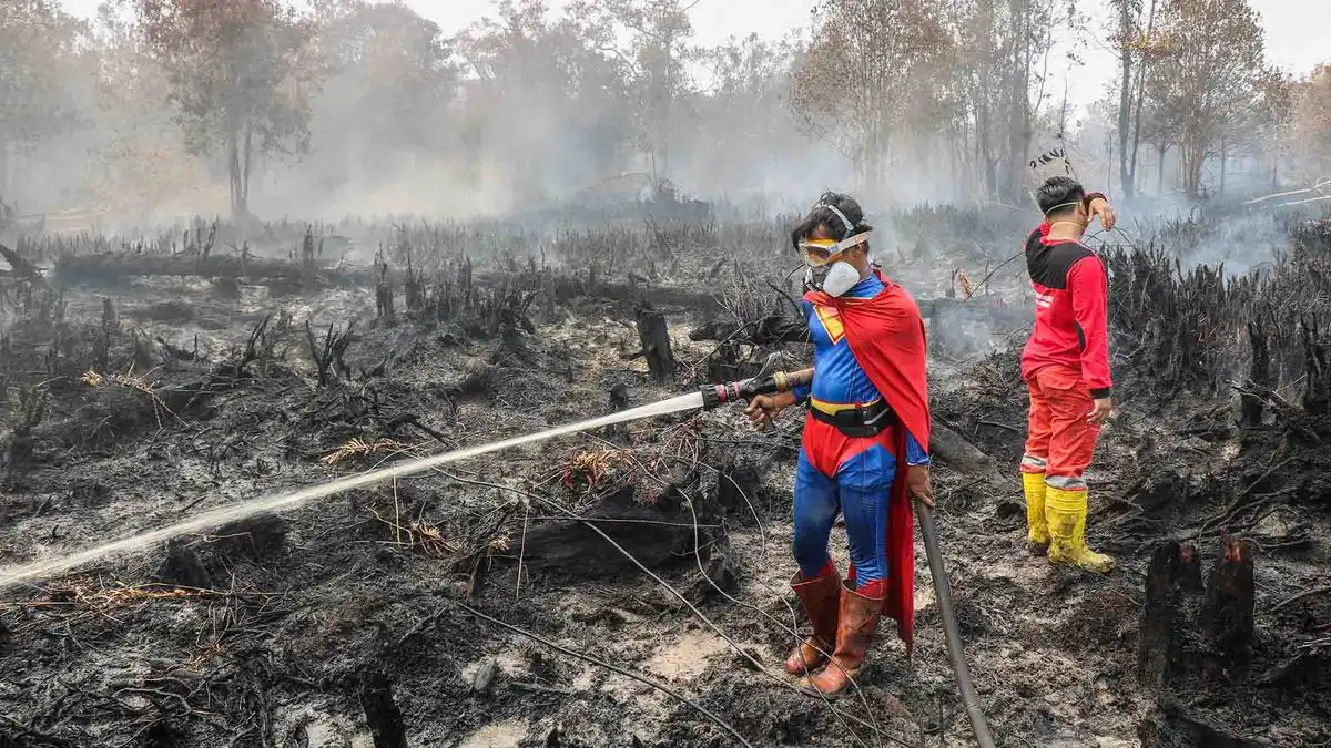 Pemerintah Kerahkan Berbagai Unsur Tangani Karhutla, 68 Perusahaan Disegel
