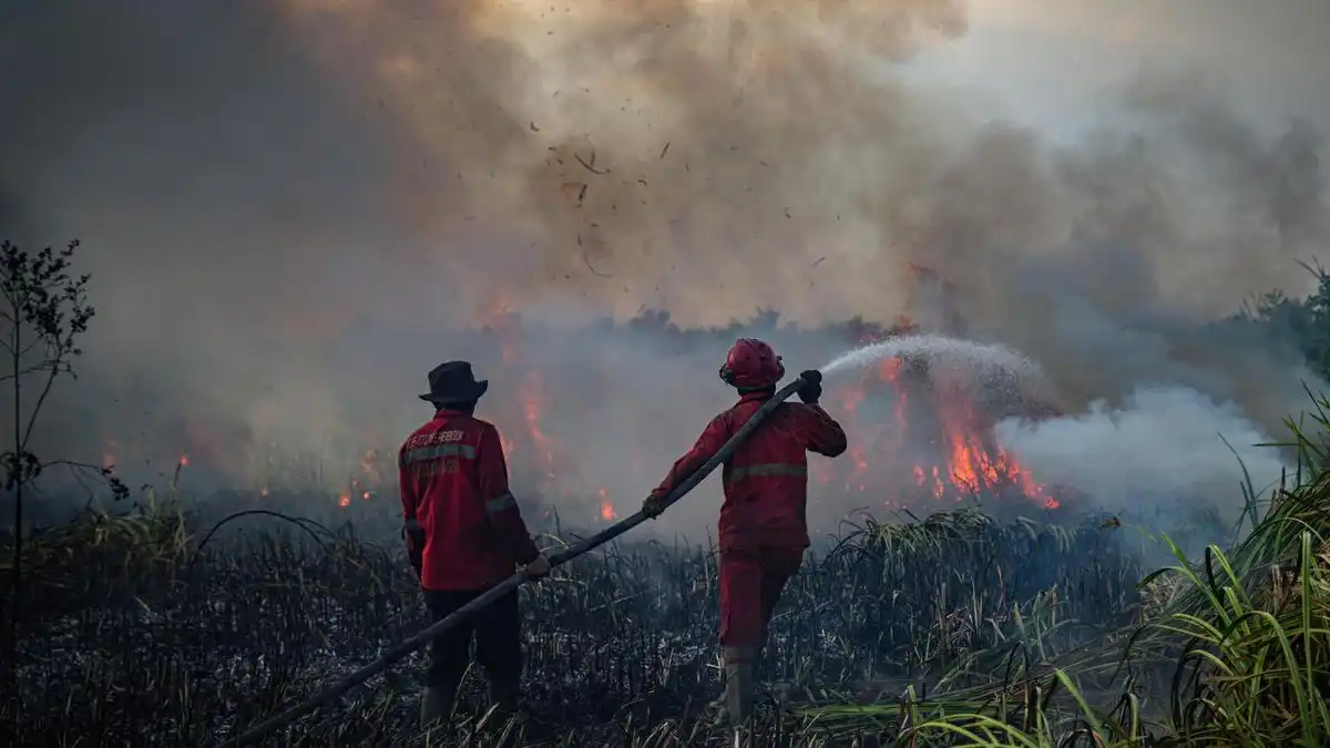 Asap Tebal Hambat Operasi Lima Helikopter Pemadam Karhutla di Sumatera Selatan