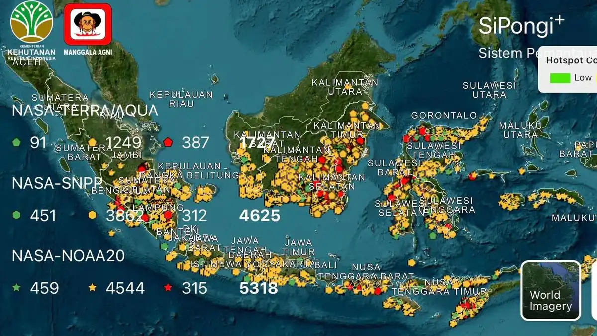 Peta Karhutla 2021–2026: Tujuh Provinsi Prioritas dan Situasi Terbaru di Kalimantan Tengah-Sumatera Selatan