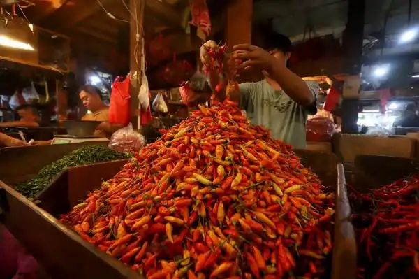 Harga Cabai dan Beras Naik dalam Perdagangan Pangan Nasional 14 Oktober 2026