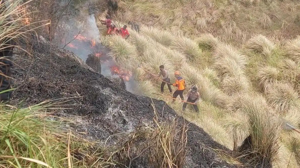 Empat Petugas Gugur Saat Melindungi Permukiman dari Kebakaran di Bromo