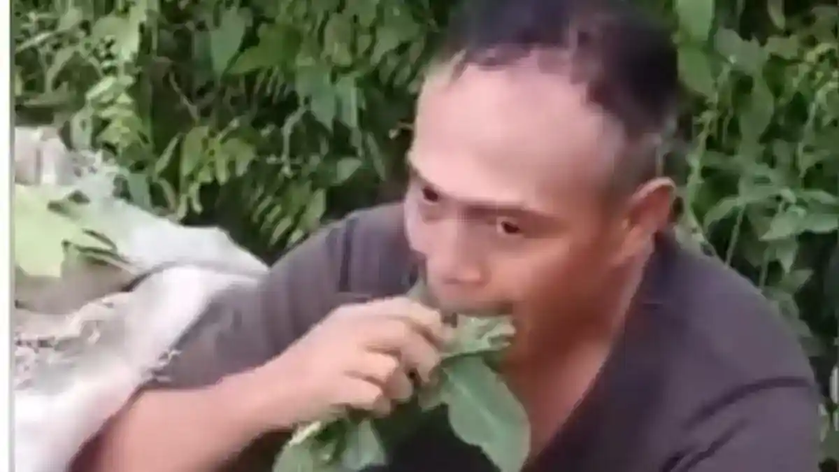 Dugaan Pencurian Daun Pepaya di Deli Serdang Berujung Mediasi