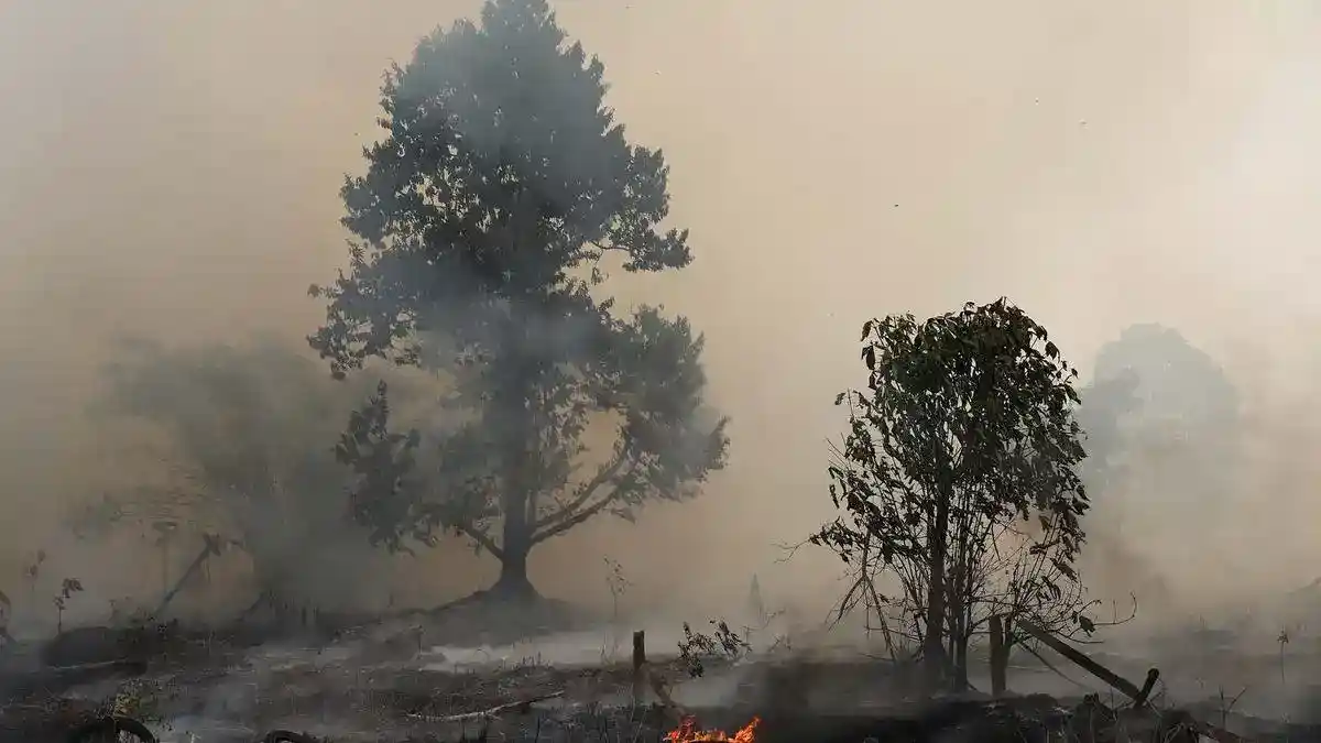 Karhutla di Kalimantan Timur Tak Ganggu Pembangunan IKN, Kata Basuki