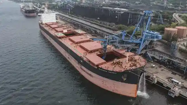 PTBA Kaji Opsi Buyback di Tengah Penguatan Kinerja Semester I 2026