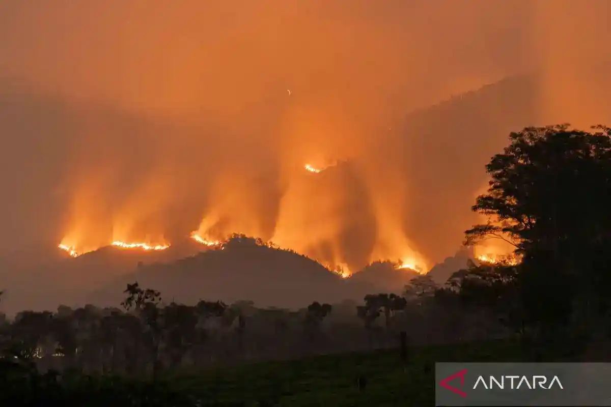 Upaya BNPB Mempercepat Penanganan Karhutla di Jawa Timur