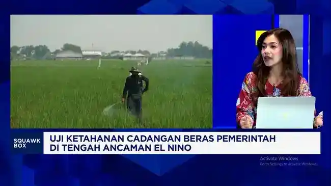 Cadangan Beras Pemerintah Mencapai 4,8 Juta Ton pada September 2026