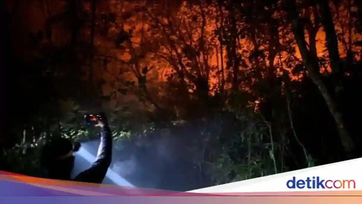 Kebakaran Menjalar ke Camp Tanjung Harapan, Pemadaman di Tanjung Puting Berlanjut