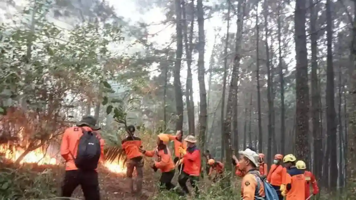 Karhutla Lawu Menyisakan Satu Titik Api, Pemadaman Berlanjut