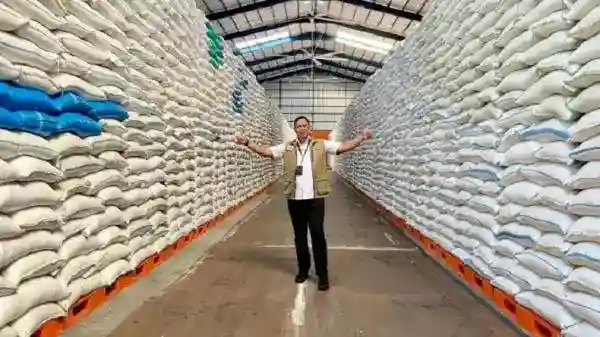 Cadangan Beras Indonesia Capai 4,5 Juta Ton, Perbandingan Regional Perlu Konteks
