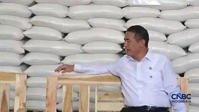 Permintaan Tambahan 500 Ribu Ton Beras Masih Menunggu Surat Resmi
