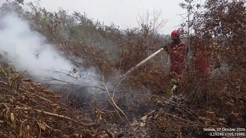 Hujan Belum Padamkan Karhutla Gambut di OKI, Akses Tim Terhambat Lumpur