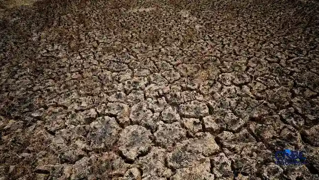 Indonesia Diproyeksikan Menghadapi 19.300 Kematian Tambahan akibat Panas Ekstrem
