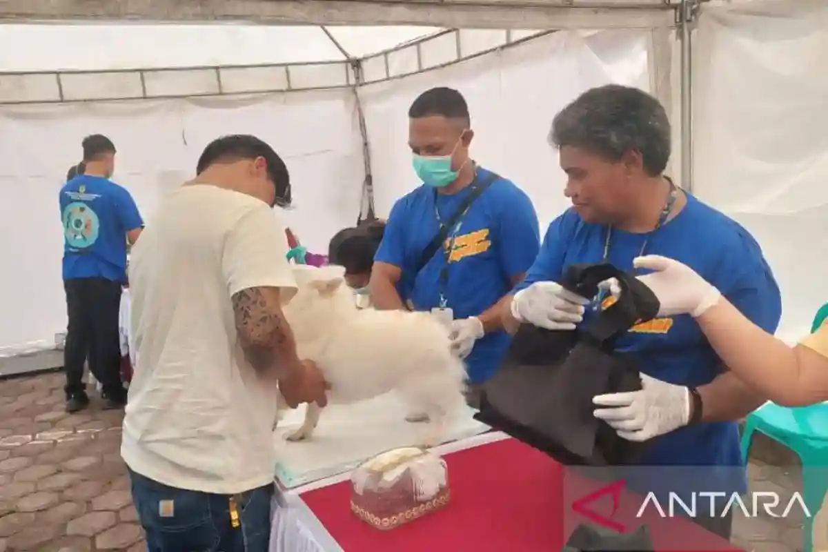 Mimika Sediakan 700 Dosis Vaksin Rabies Gratis untuk Hewan Peliharaan